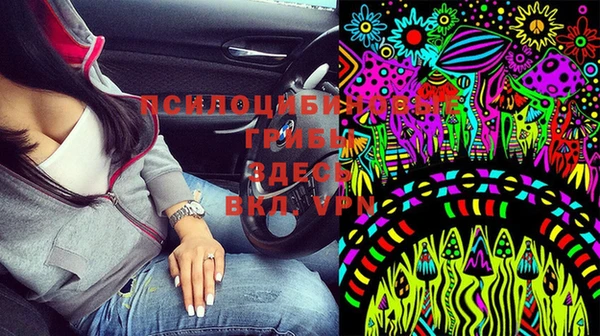 дмт Бугульма