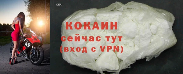 ПСИЛОЦИБИНОВЫЕ ГРИБЫ Богданович